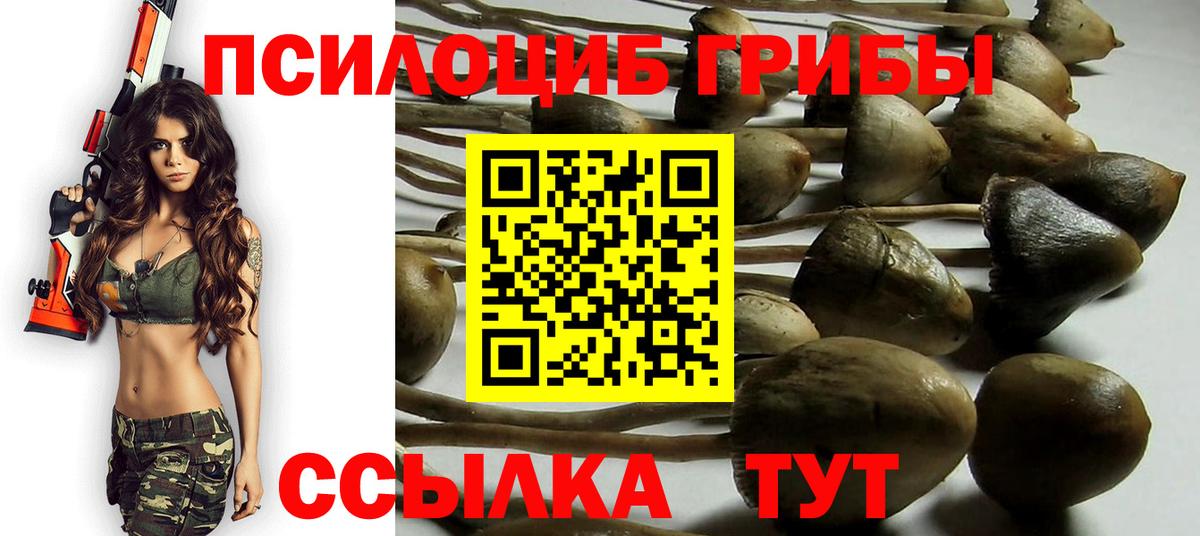 Туймазы  Псилоцибиновые грибы Cubensis  Вход с VPN  Галлюциногенные грибы ЛСД 
