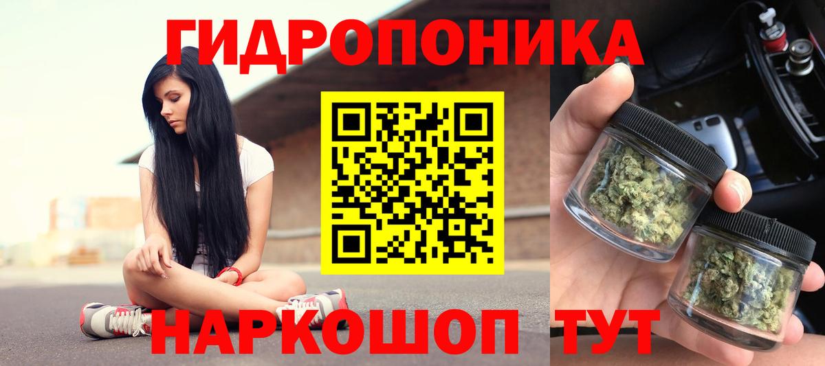 Туймазы  Бошки марихуана сатива  Вход с VPN  Шишки марихуана планчик 